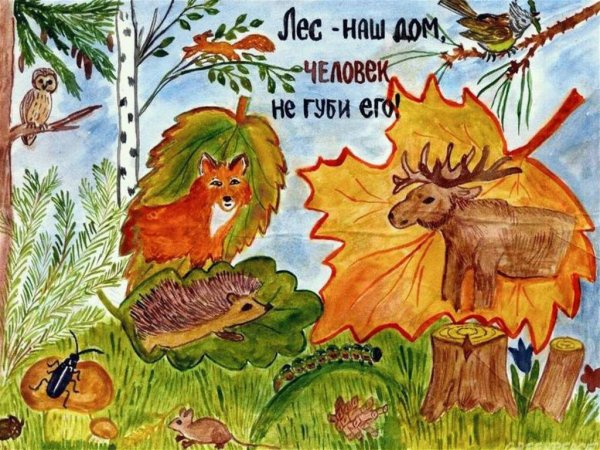 Рисунки на тему Заповедная природа