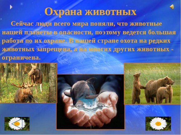 Плакат охрана животных