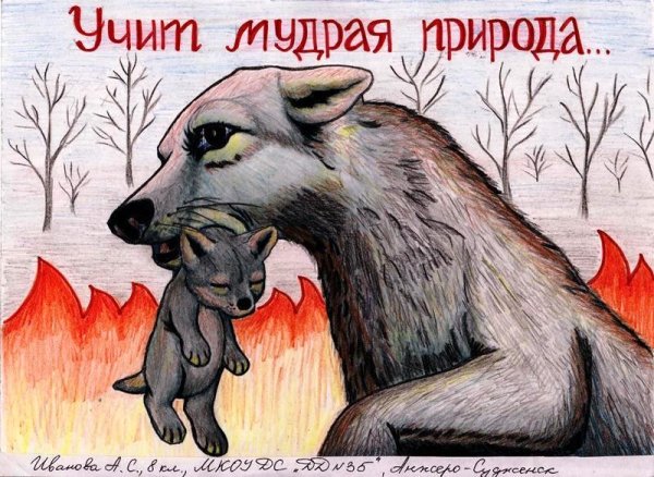 Знаки охраны животных