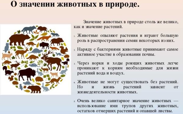 Значение животных для человека