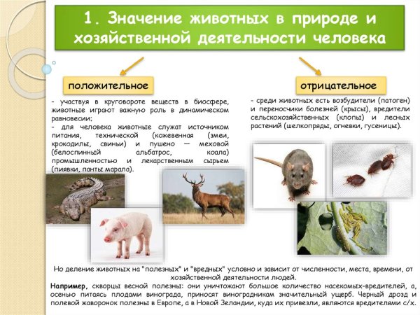 Значение в природе животных опылителей