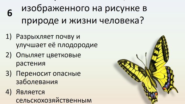 Значение животных в жизни человека