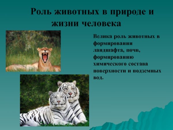 Роль животных в жизни человека