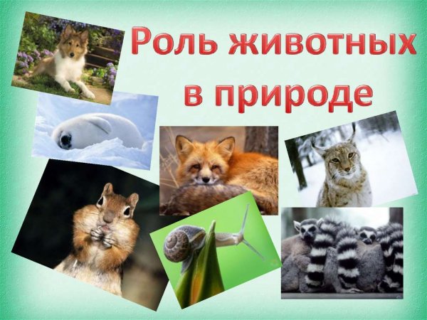 Значение животных для человека