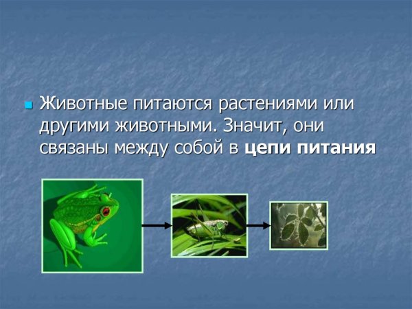Значение живых организмов в природе и жизни человека