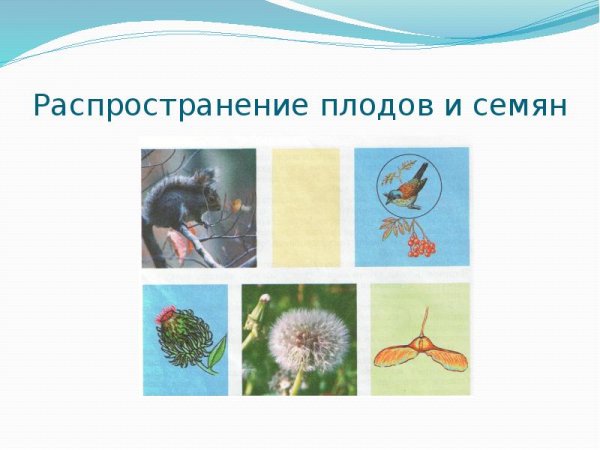 Роль животных в природе