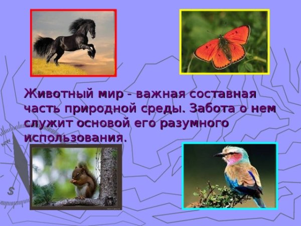 Роль млекопитающих в природе
