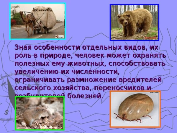 Отрицательная роль животных в жизни человека