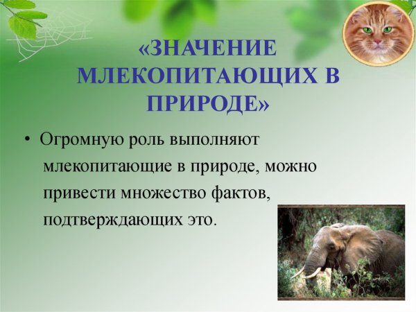 Роль растений биология 5 класс