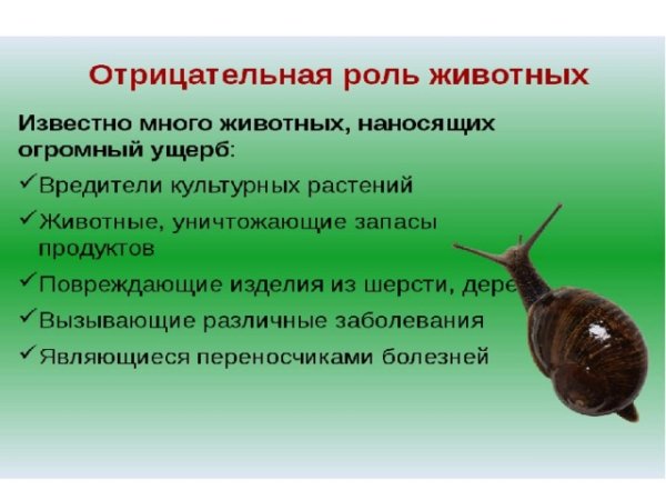 Роль животных в природе схема
