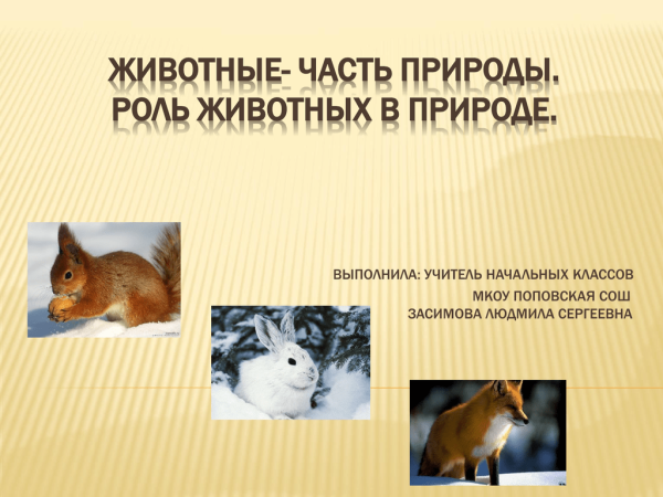 Роль растений в жизни животных
