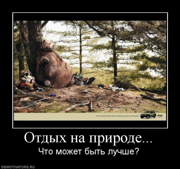 Демотиваторы про отдых на природе