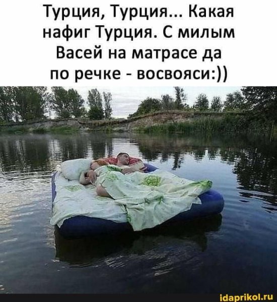 Юмор про отдых на природе