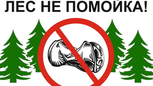 Плакат не сорите в лесу