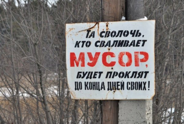 Почему нельзя мусорить в лесу для детей