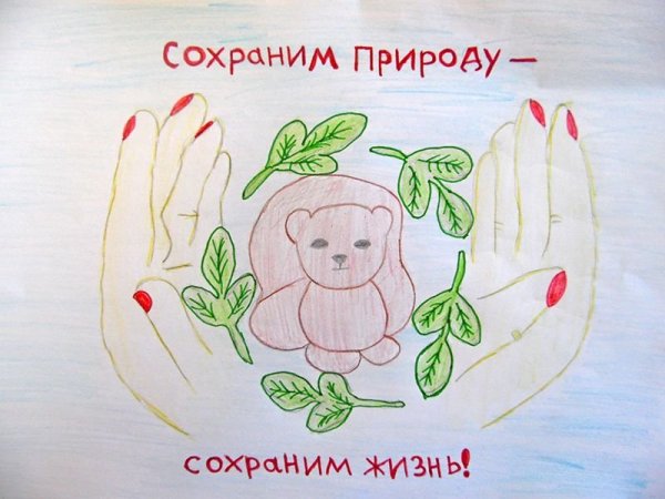 Рисунок на тему сохраним природу вместе