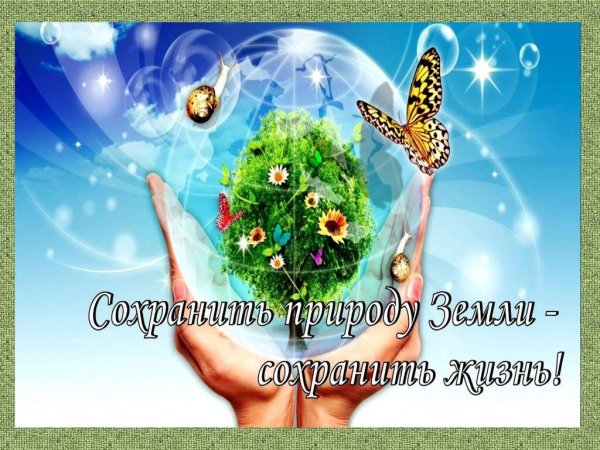 Сохранить жизнь