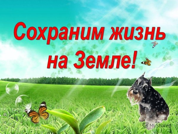 Плакат защита природы