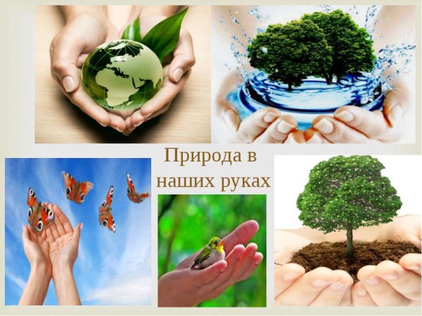 Сохраним планету вместе