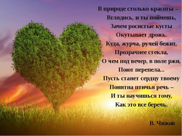 Васюганские болота России