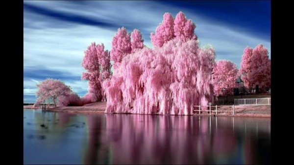 Каракольские озёра горный Алтай