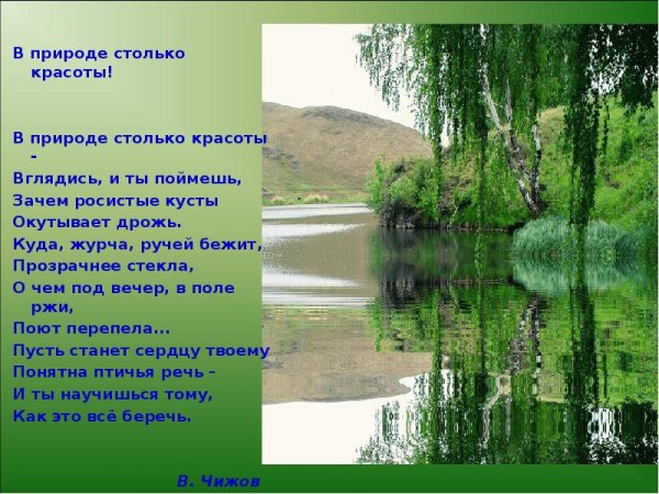 Озеро Текапо (Lake Tekapo)