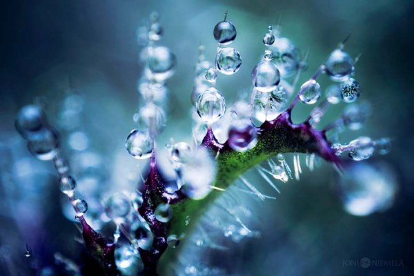 В природе столько красоты