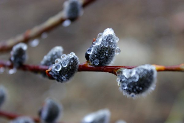 Красивая природа с радугой