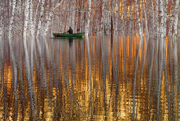 Красивая зима