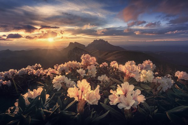 Наслаждение природой