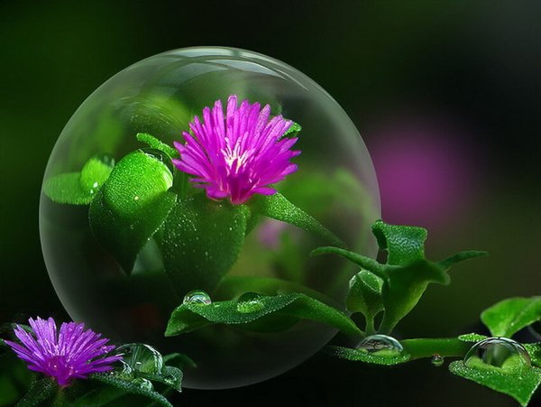 Любовь к природе