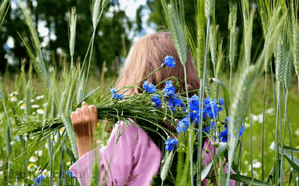Природа осень