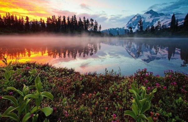 Красивая яркая природа