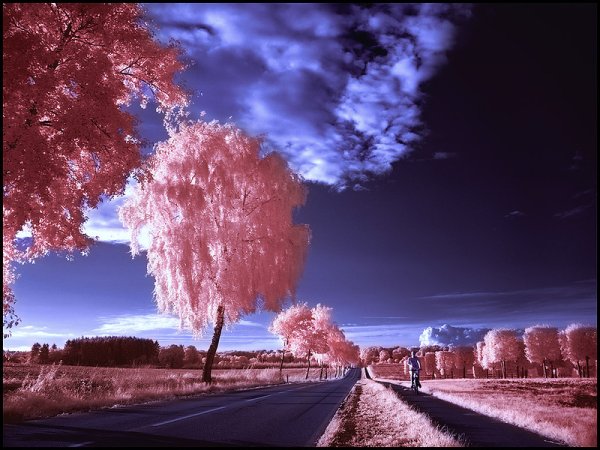 Рассвет летом