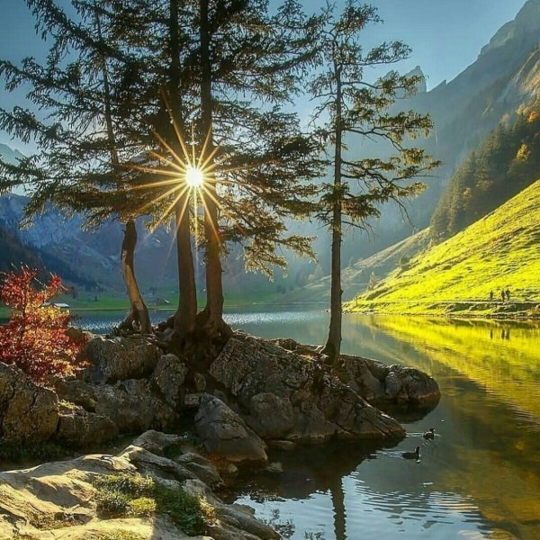 Открытки доброе утро природа