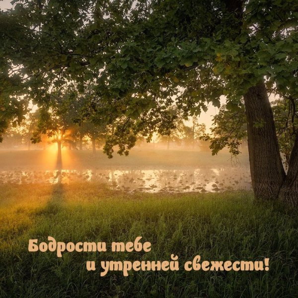 Чай на веранде