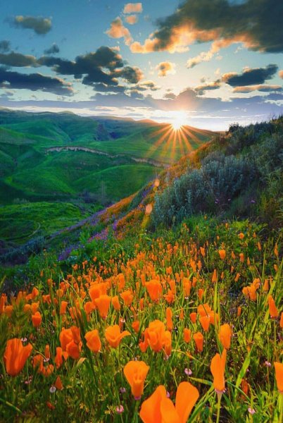 Доброе раннее утро