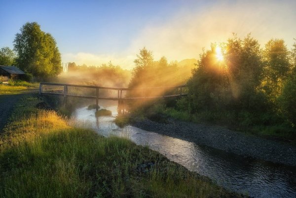 Букет полевых трав