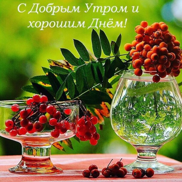 Открытки с добрым утром весенние