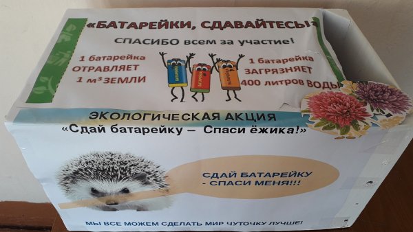 Сдай батарейку Спаси ежика