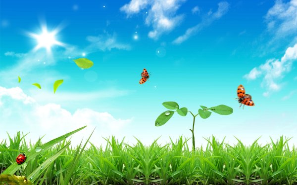 Фон для презентации природа