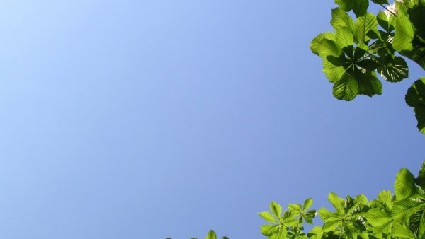 Картинки природы для презентации