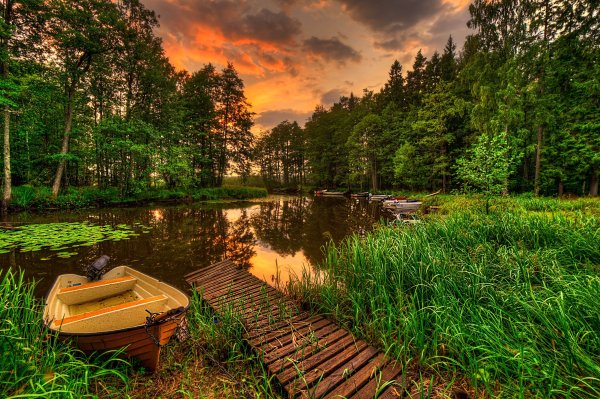 Природа горы лес река