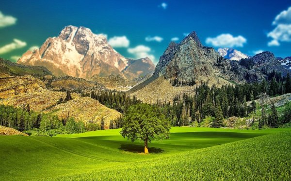 Красивые пейзажи для релаксации