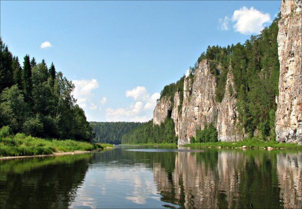 Щеглов Дмитрий художник Екатеринбург