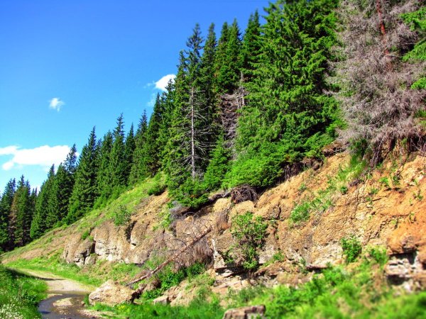 Родной край Урал