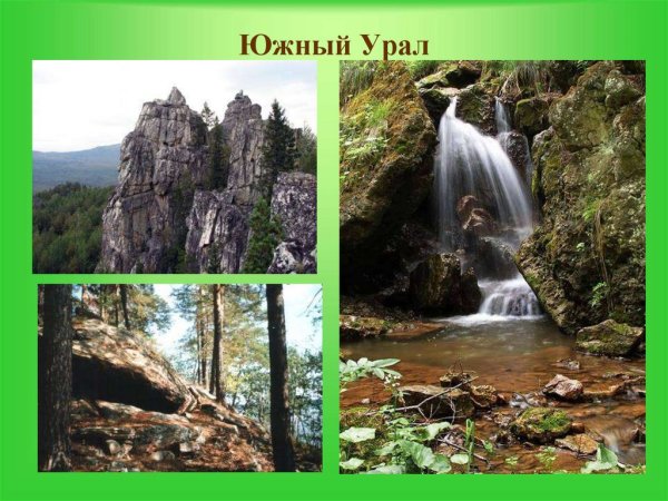 Леса Южного Урала