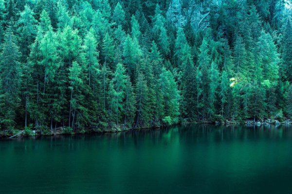 Красивые пейзажи природы