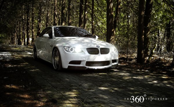 BMW f10 белая в лесу