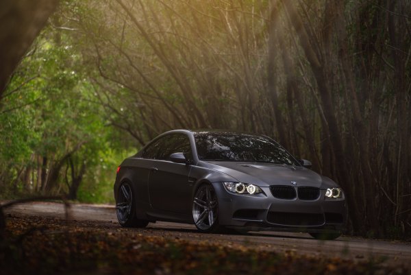 BMW f10 белая в лесу